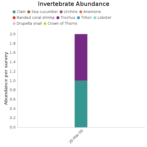 Invertebrate Abundance