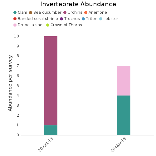 Invertebrate Abundance