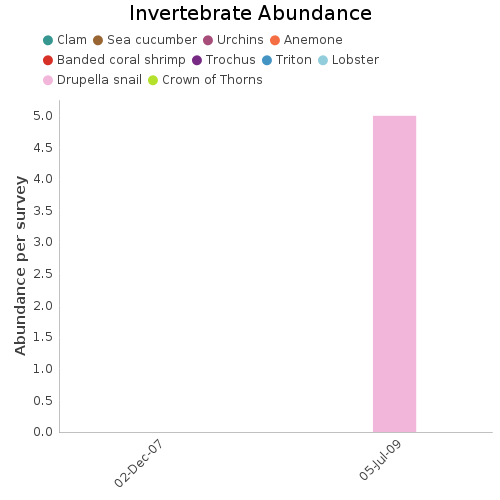 Invertebrate Abundance