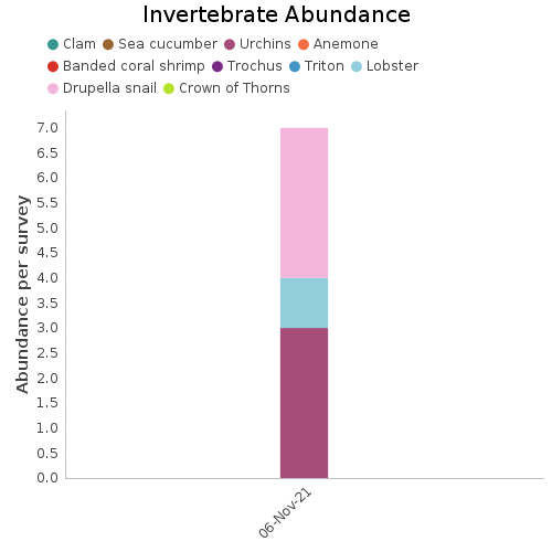 Invertebrate Abundance