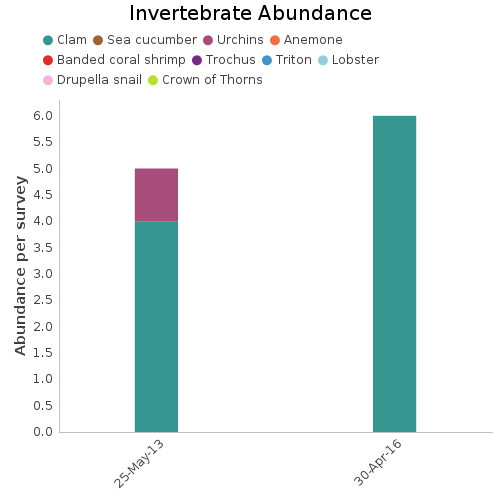 Invertebrate Abundance