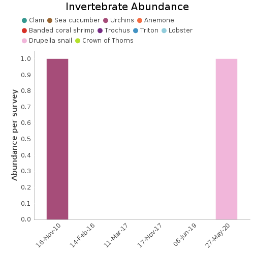 Invertebrate Abundance