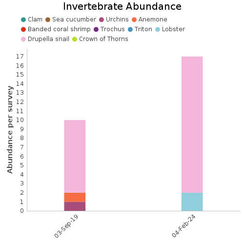 Invertebrate Abundance