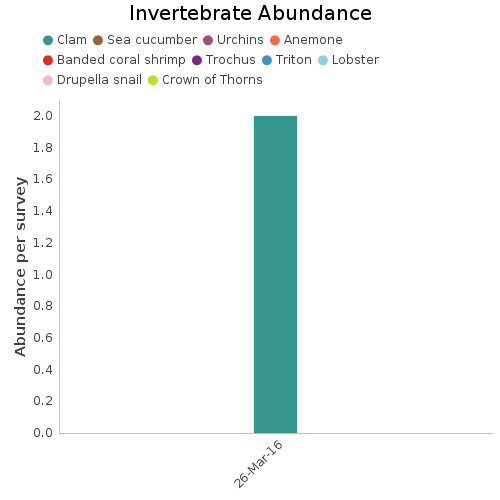 Invertebrate Abundance