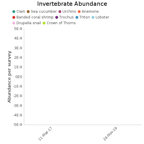 Invertebrate Abundance