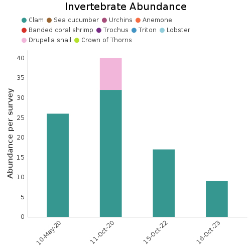 Invertebrate Abundance