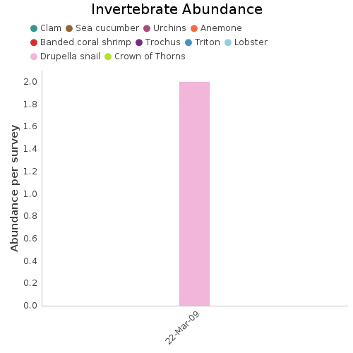 Invertebrate Abundance