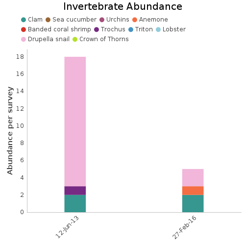 Invertebrate Abundance