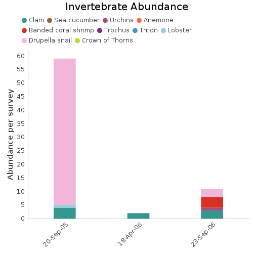 Invertebrate Abundance