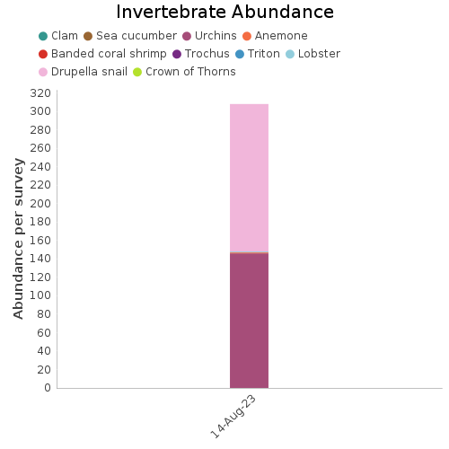 Invertebrate Abundance