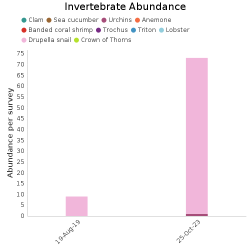 Invertebrate Abundance