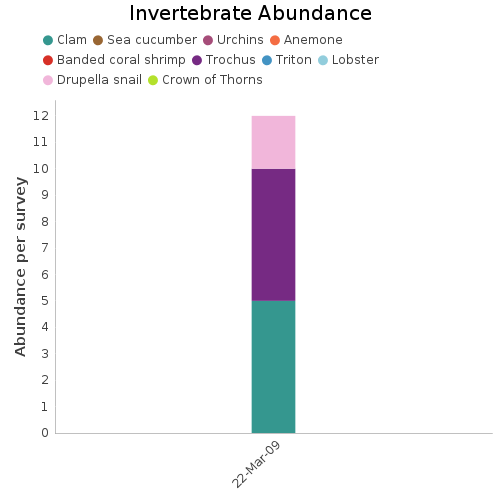 Invertebrate Abundance