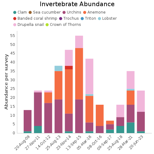 Invertebrate Abundance