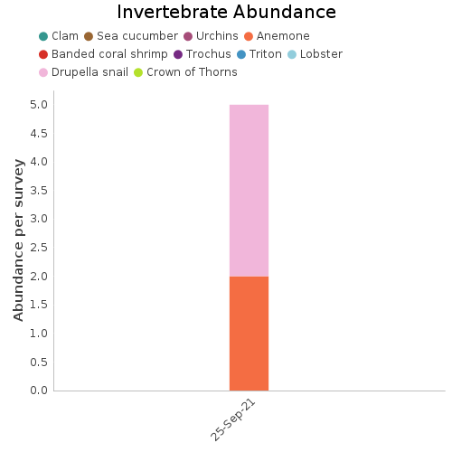 Invertebrate Abundance