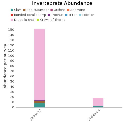 Invertebrate Abundance