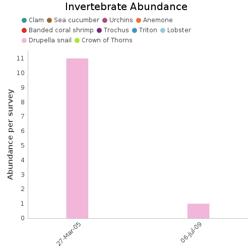 Invertebrate Abundance