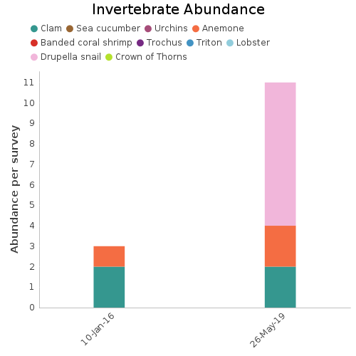 Invertebrate Abundance