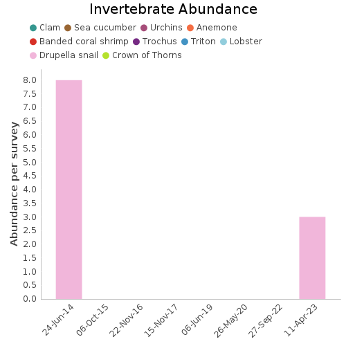 Invertebrate Abundance