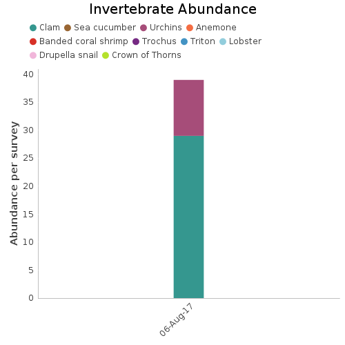 Invertebrate Abundance