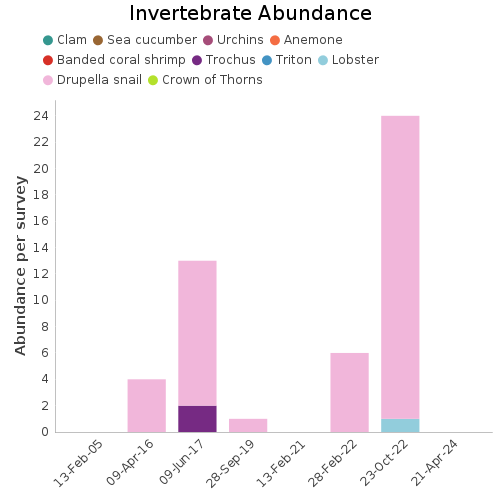 Invertebrate Abundance