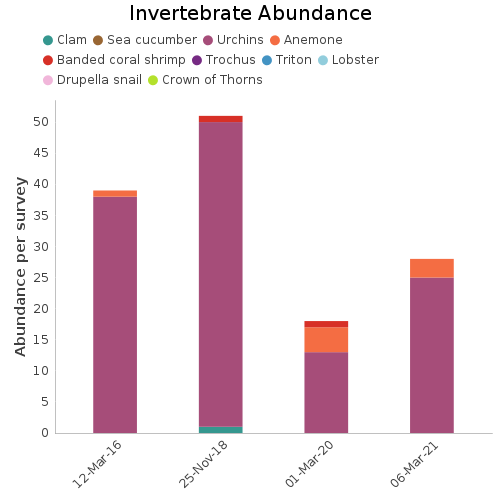 Invertebrate Abundance