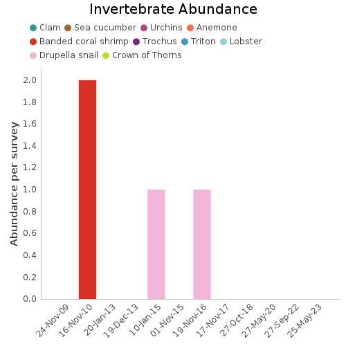 Invertebrate Abundance