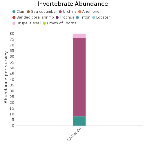 Invertebrate Abundance