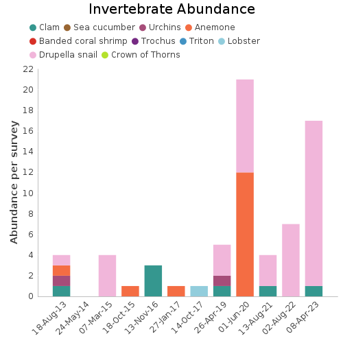 Invertebrate Abundance