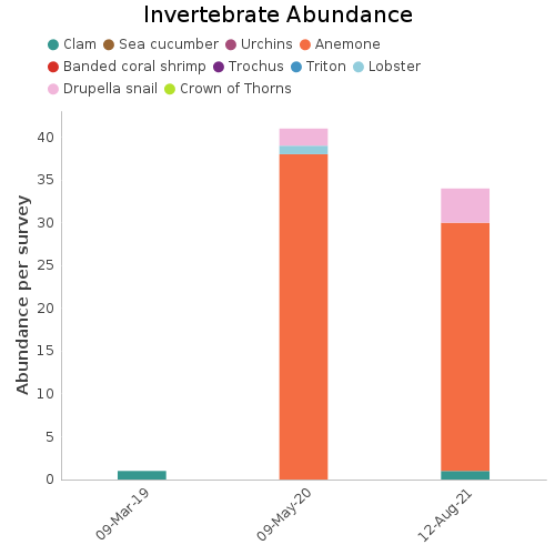 Invertebrate Abundance