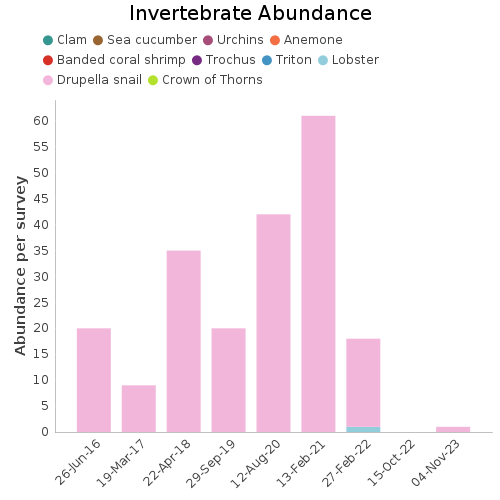 Invertebrate Abundance