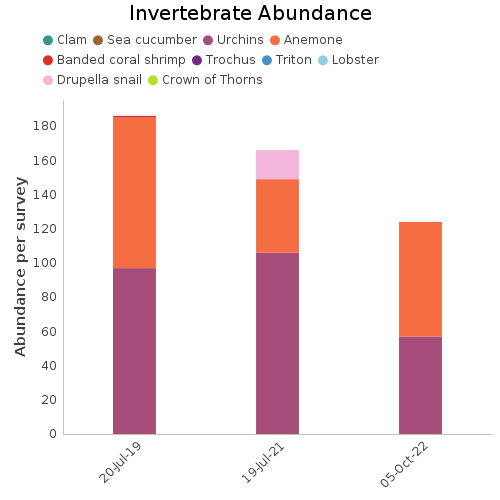 Invertebrate Abundance