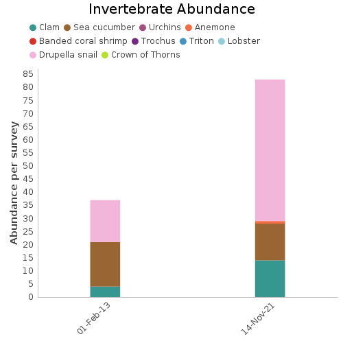 Invertebrate Abundance