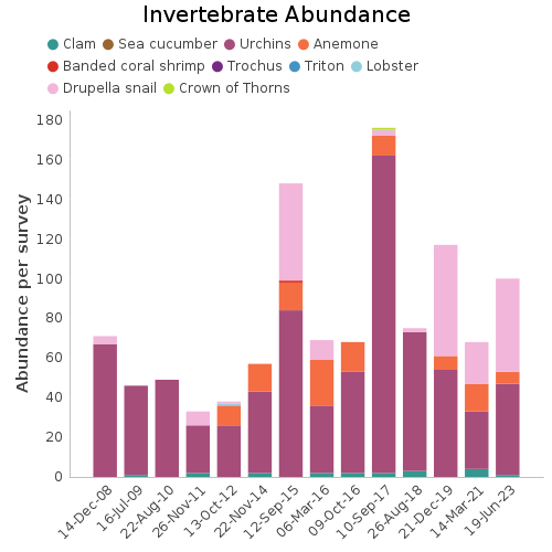 Invertebrate Abundance