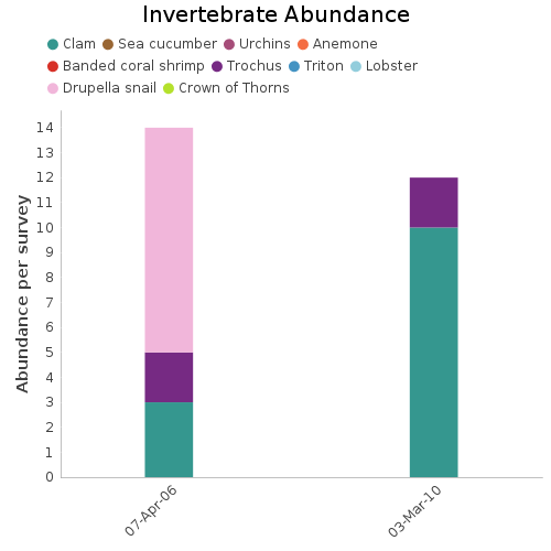 Invertebrate Abundance