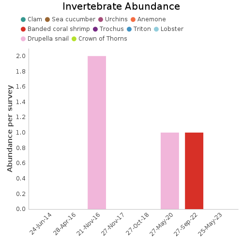 Invertebrate Abundance