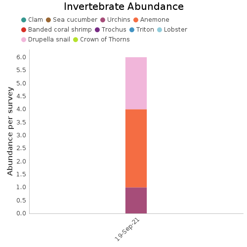 Invertebrate Abundance