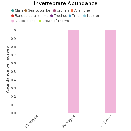 Invertebrate Abundance