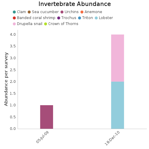 Invertebrate Abundance