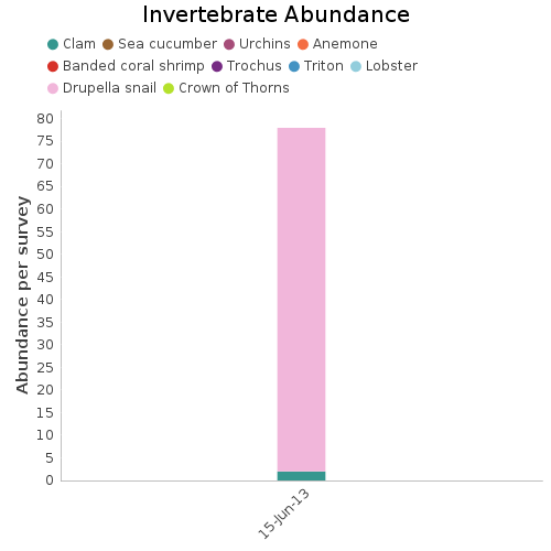 Invertebrate Abundance