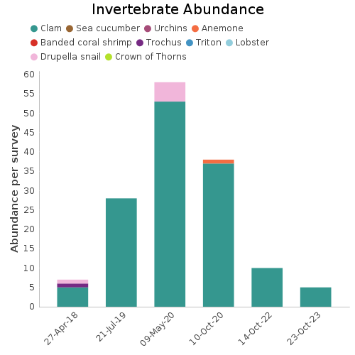 Invertebrate Abundance