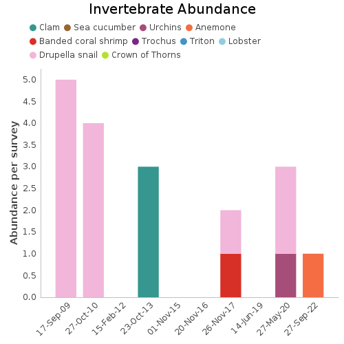 Invertebrate Abundance