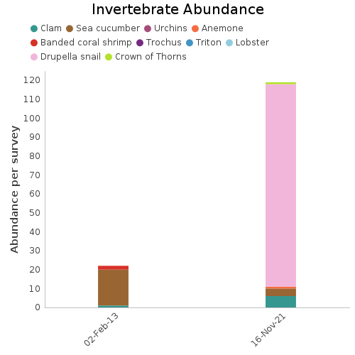 Invertebrate Abundance