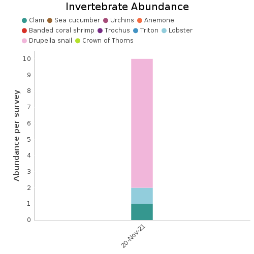 Invertebrate Abundance