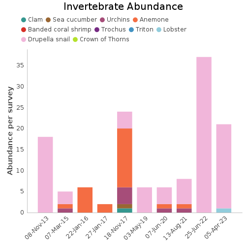 Invertebrate Abundance