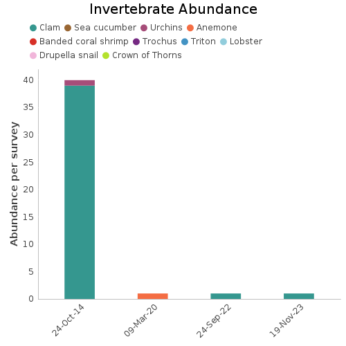 Invertebrate Abundance