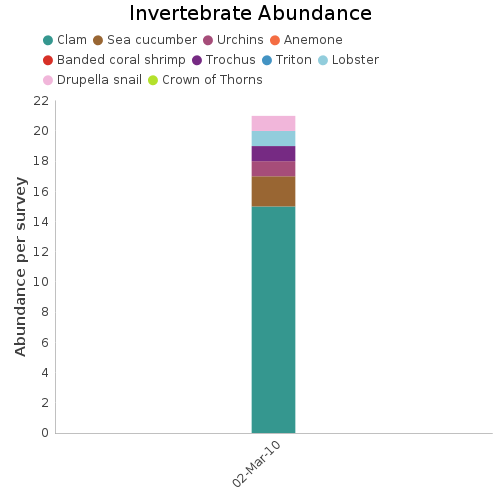 Invertebrate Abundance